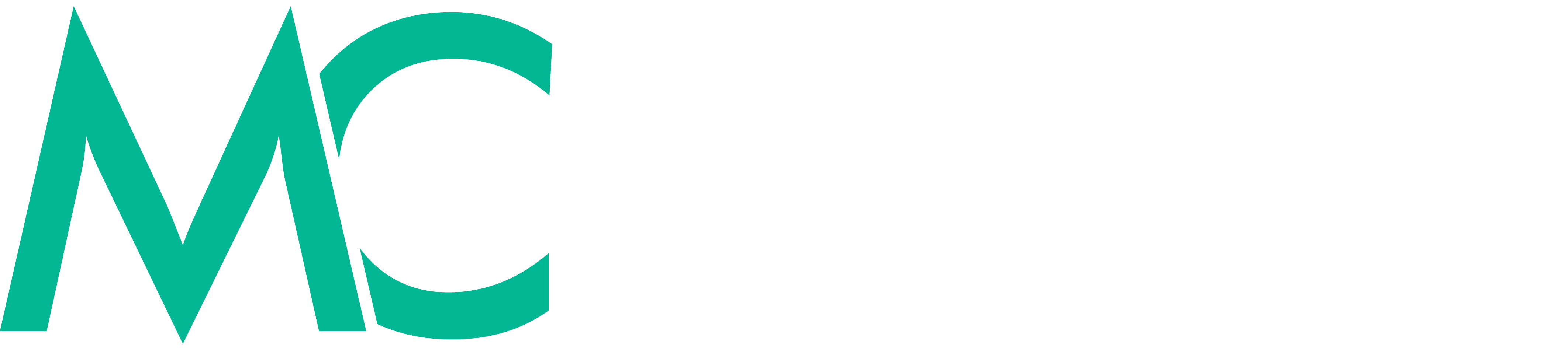 MC Mint Construction